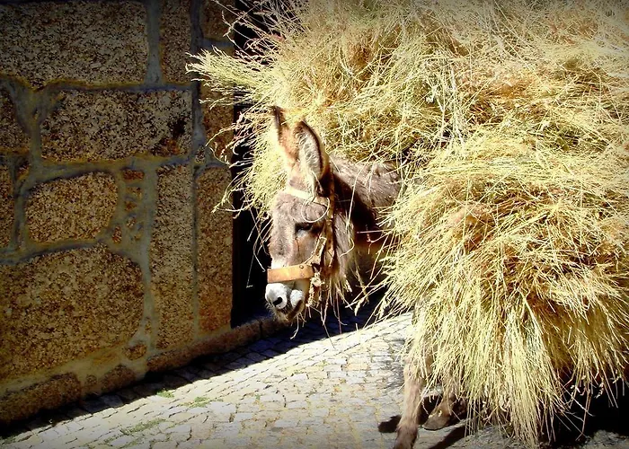 Alojamento de Turismo Rural Casas Do Cruzeiro