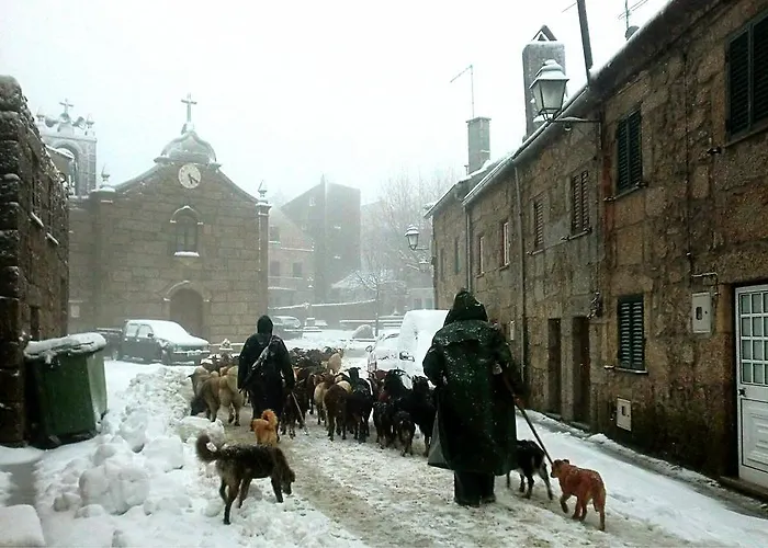 Alojamento de Turismo Rural Casas Do Cruzeiro Sabugueiro (Guarda)